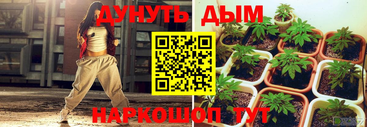 Канабис Amnesia Маркс